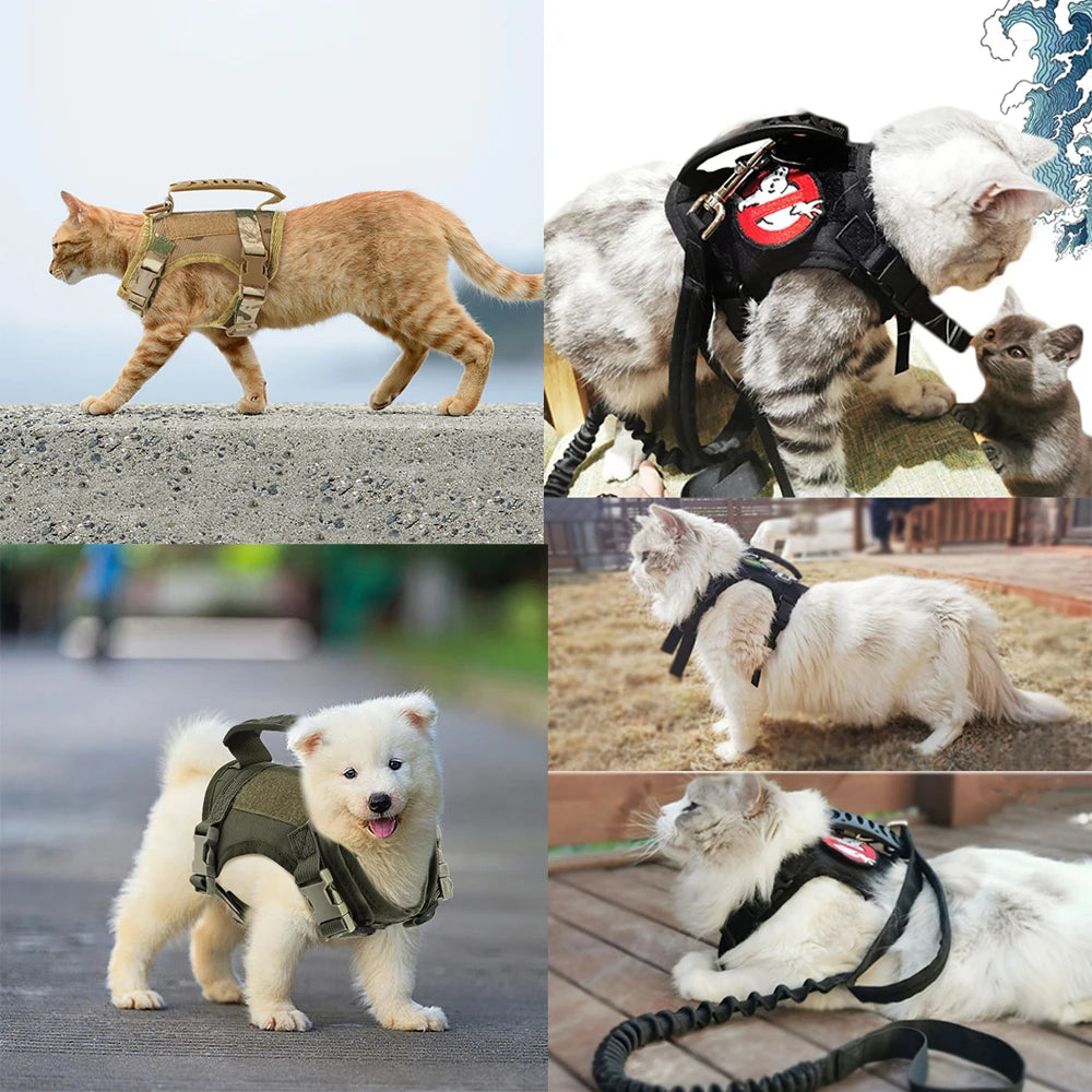 Tactical Puppy Harness Leash For Small Dogs Cats Adjustable Kitten Vest For Military Service Dog Working Training Walking - Zecs shopping