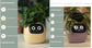 AI Smart Planter Pot – Interactive Plant Companion with Expressions & Sensors