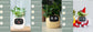 AI Smart Planter Pot – Interactive Plant Companion with Expressions & Sensors