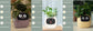 AI Smart Planter Pot – Interactive Plant Companion with Expressions & Sensors
