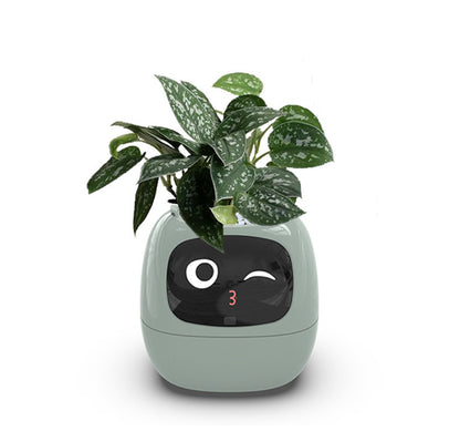 AI Smart Planter Pot – Interactive Plant Companion with Expressions & Sensors